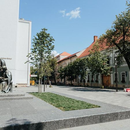 Contessa Central Studio II Cluj-Napoca Ngoại thất bức ảnh